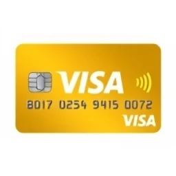Visa Logo